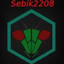 sebik2208