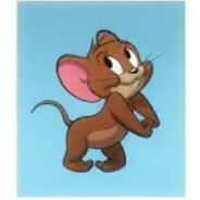 arnn - steam id 76561199657381895