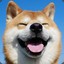 shibe good