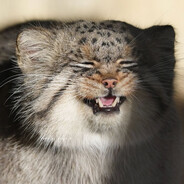 Manualny Underground