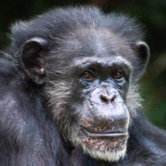 asd - steam id 76561198992821143