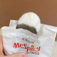 ··周迅鲁树人··