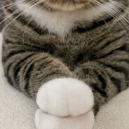 永远不要让地空着