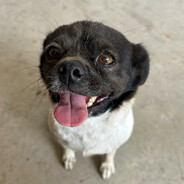 ￴ ￴ ￴ ￴ ￴￴￴ ￴