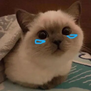 你也配听胖丁唱歌吗