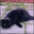 Meow