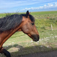金山银山全都有