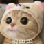 醉了好么