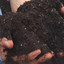 Phillippine Soil