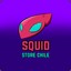 Squid Store Chile AR