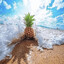 pineapple watering