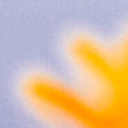 liangliang不能在白给了