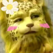 那句晚安她听了吗