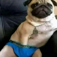 presO - steam id 76561199040927355