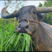 避税太多我查查