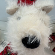 烫手的山芋年糕