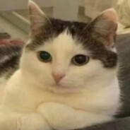 你是人参果吗 落地就没