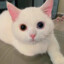 kiT