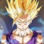 Son Gohan