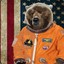 Astronaut Bear