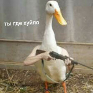 Бегите я конченны - steam id 76561197960400936