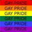 Gay Pride [OWS]