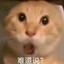 得挠人处且挠人