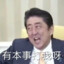 奈良枪王安倍晋三