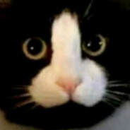 握龙（牛子撒手）