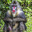 Lizardo the Mandrill