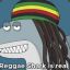 Reggae Shark