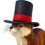 Top Hat Otter