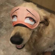 КУНЬКУ НА АБОРДАЖ's avatar