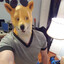 Mr.Peanutbutter