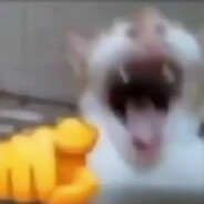777