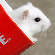 mouse
