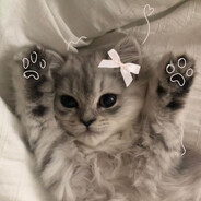meow - steam id 76561199471783270