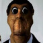 samkkkooo