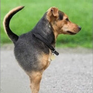 зузильда - steam id 76561198339004032