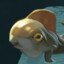 Frog | ♥