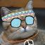 Cat_Hippie