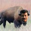 Neil deGrasse Bison