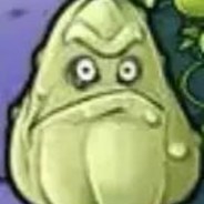 充满智慧的眼神