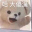 暴龙战士