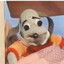 Nikodzem