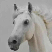 西海现役补枪手Top.1