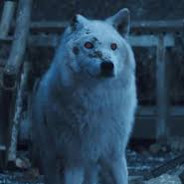 Faxinad2 avatar