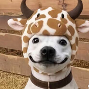 SzwagieroEscobar skins.army