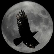 Nightbird