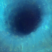 骑着苍蝇看热闹